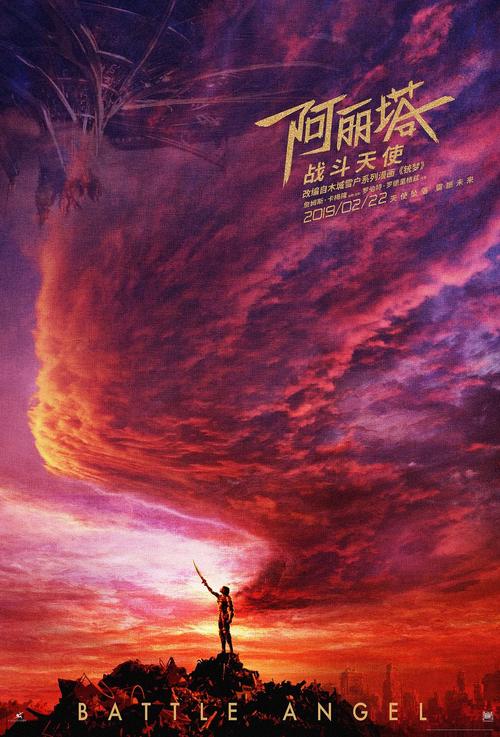 怎么购买比利时身份证